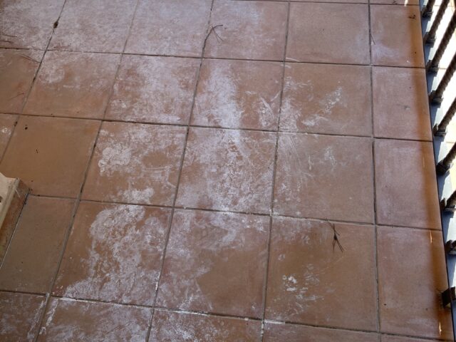 image00001